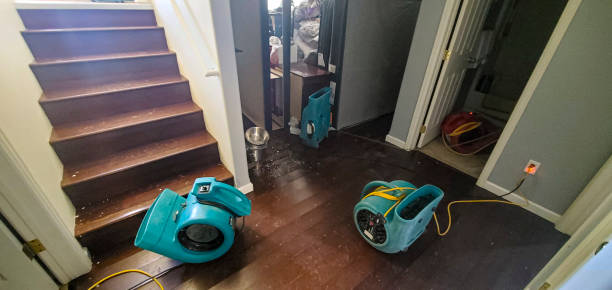 Best 24-hour water damage restoration  in Mill Bay, AK