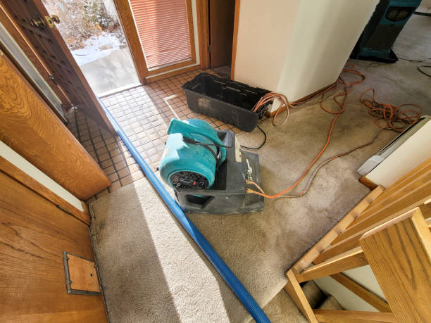 Best Basement water damage restoration  in Mill Bay, AK