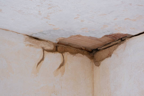 Best Ceiling water damage repair  in Mill Bay, AK